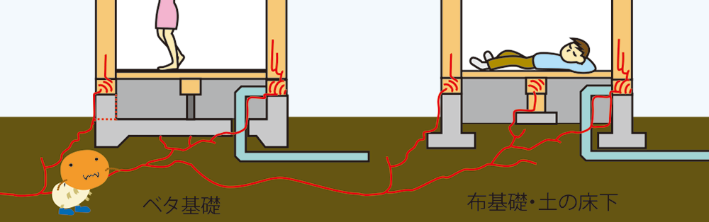 ベタ基礎と布基礎のシロアリ侵入経路